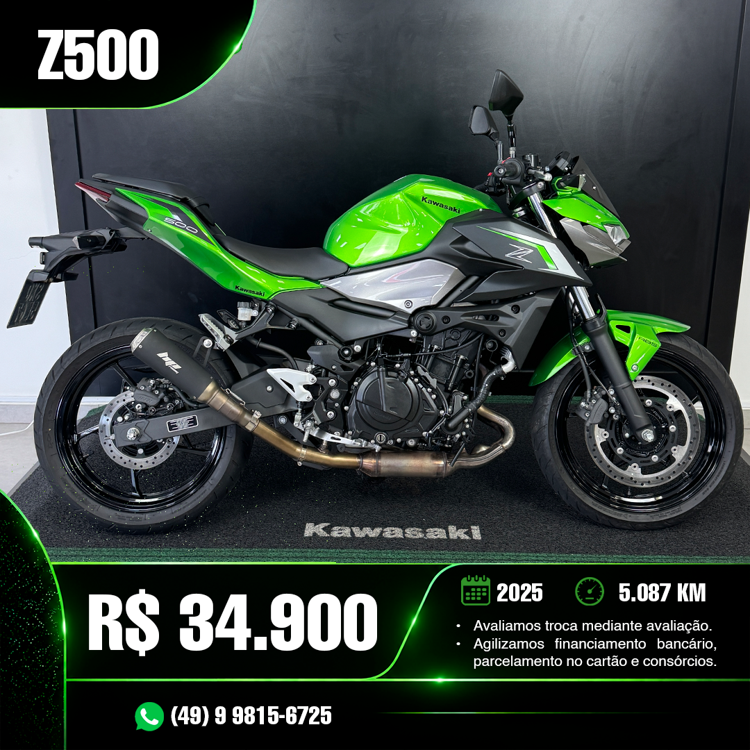 1 capa z500